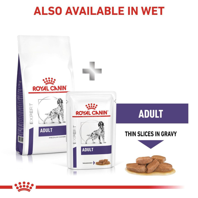 vhn-dog-adult-medium-21